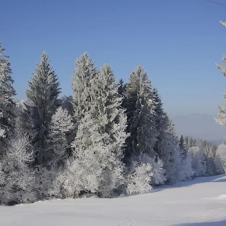 Reisenhofer Westendorf