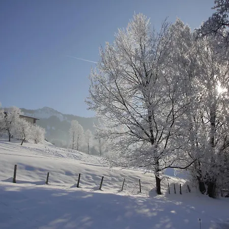 Reisenhofer Apartament Westendorf